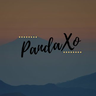 Music Producer - pandaxo