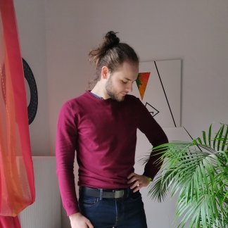 Music Producer - animi