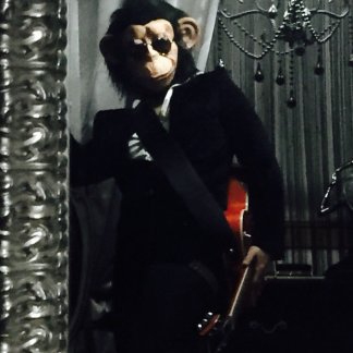 Music Producer - monkeytrip
