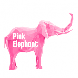Music Producer - pinkelephant