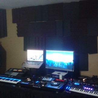 Music Producer - vinylbot