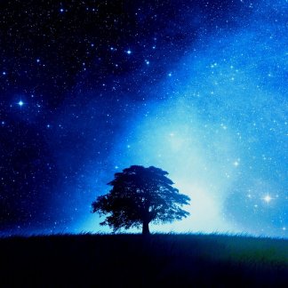 Music Producer - lightscape