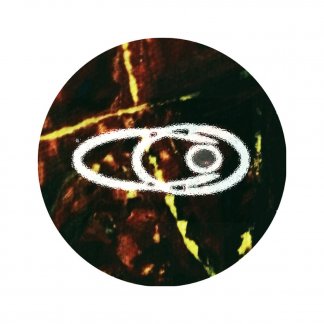 Music Producer - coteen