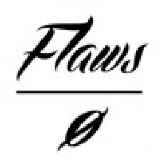 Music Producer - flaws