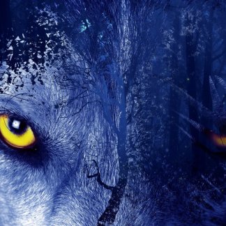 Music Producer - lone wolf