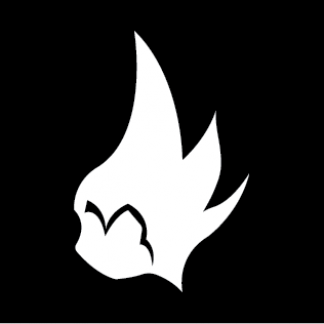 Music Producer - boqi