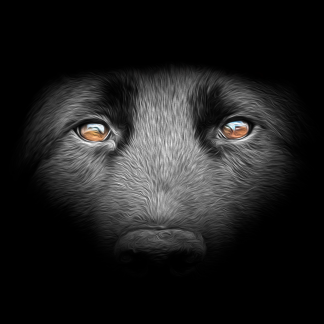 Music Producer - goodbear_prod