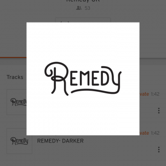 Music Producer - remedyuk