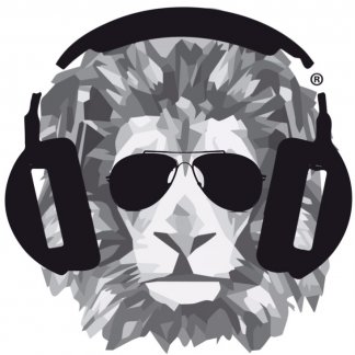 Music Producer - leisuremusicpro