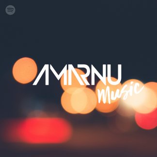 Music Producer - amarnu