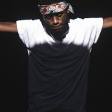Music Producer - vandrel