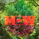 Music Producer - maxwild