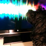 Music Producer - gsongs