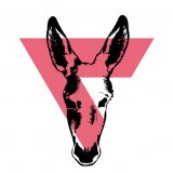 donkeydust
