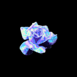 Music Producer - scvrt
