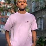 Session Singer, Vocalist, Songwriter - 