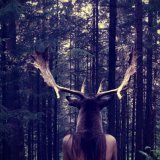 Music Producer - robinandrichard