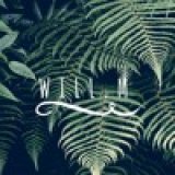 willmofficial