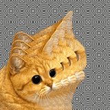 Music Producer - begly