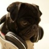 pugwayne