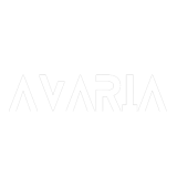 Music Producer - Avaria