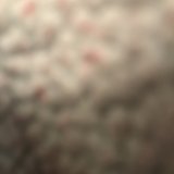 Music Producer - sheseleanor