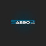 Saebo