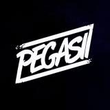 Music Producer - pegasii