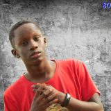 bl_dann