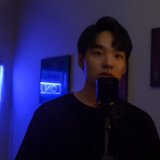 pilovibes