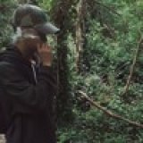 lenus