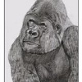 theapes