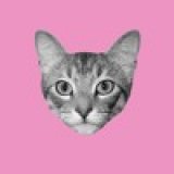 futurecat