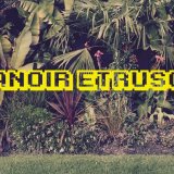Music Producer - mdess