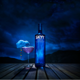Music Producer - sky