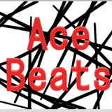 Music Producer - acebeats