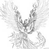 _phoenix_