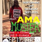 a.m.a musiek