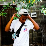 postman ape