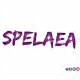 spelaeamusic