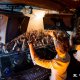 raverepublic