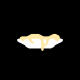 andrew_kesner