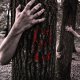 Music Producer - elmentraudt