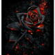 martiniii_music