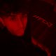 hpdj_official